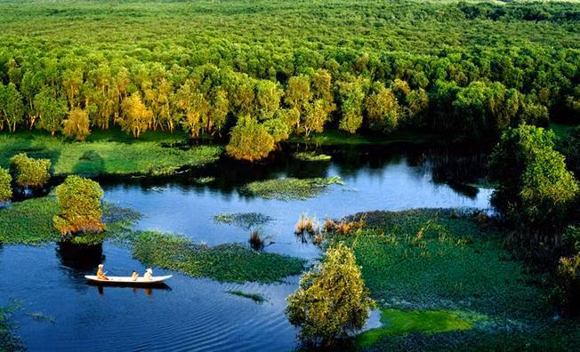 An Giang approves eco-tourism project in cajuput forest ảnh 2