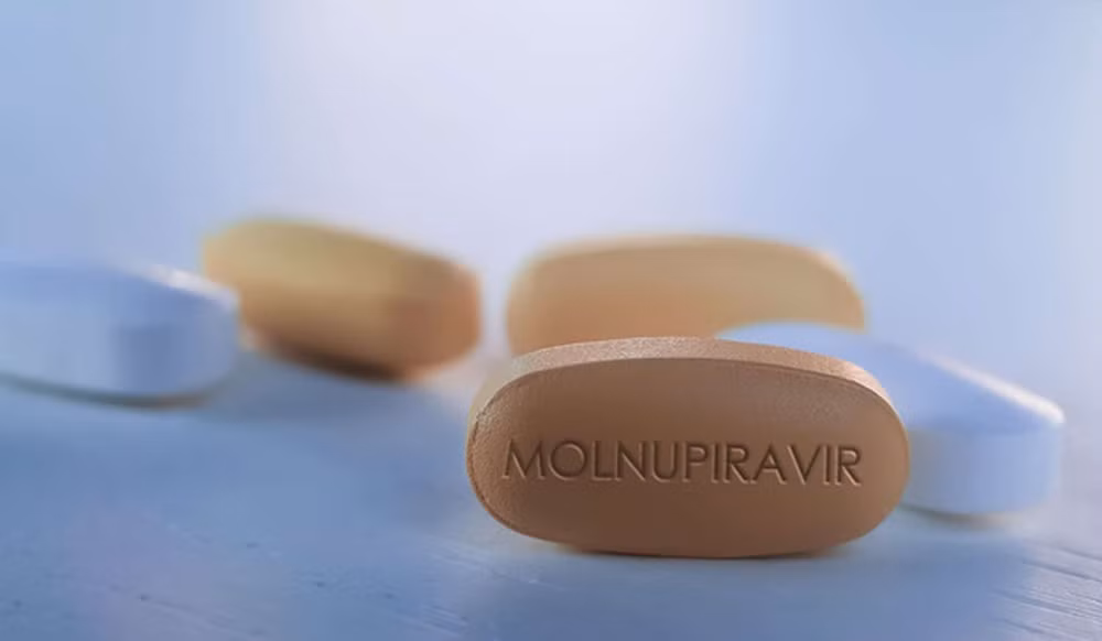 Vietnam able to produce COVID-19 treatment drug Molnupiravir ảnh 1 Vietnam able to produce COVID-19 treatment drug Molnupiravir ảnh 1
