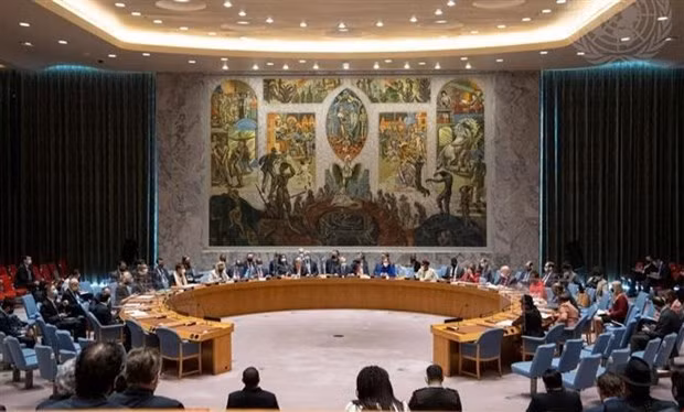 Comprehensive solutions needed to deal with root causes of conflicts: diplomat ảnh 1