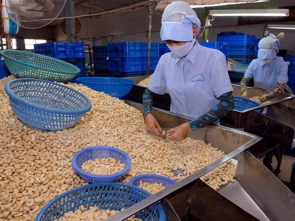 Binh Phuoc posts 1.2-billion-USD trade surplus ảnh 1