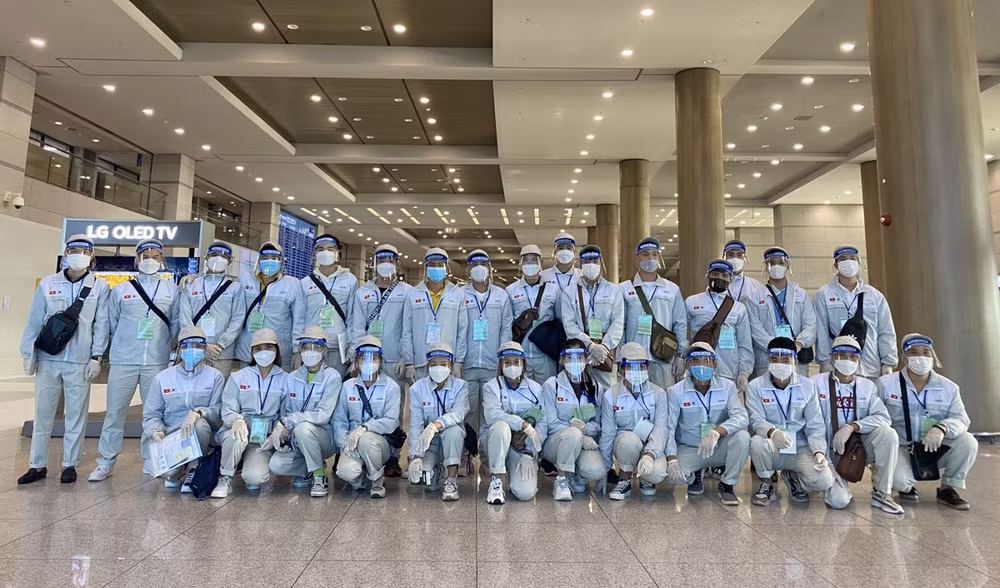 Vietnam needs to take opportunities to promote labour export to RoK ảnh 1