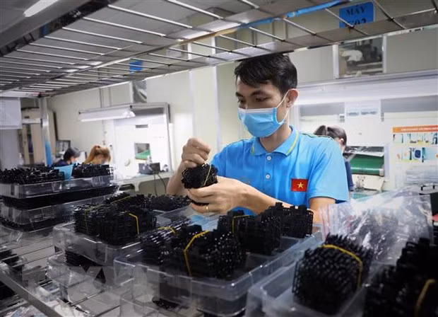HCM City's firms in need of capital injection soon ảnh 1 HCM City's firms in need of capital injection soon ảnh 1