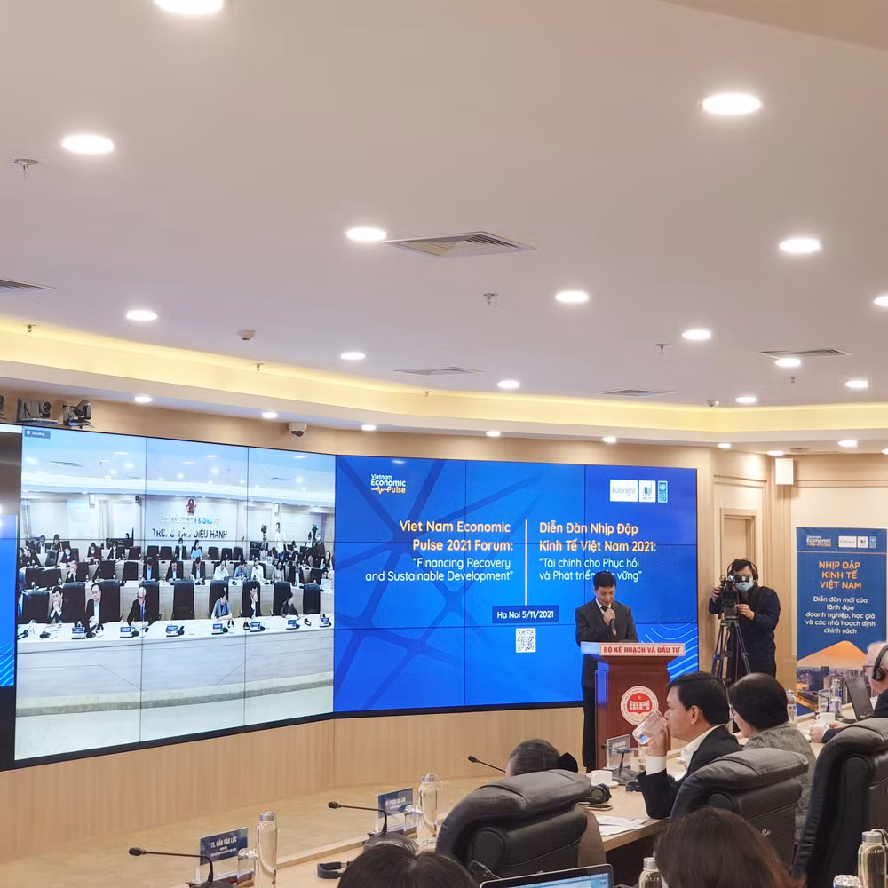 Domestic resources – key to achieve development goals: UNDP expert ảnh 2