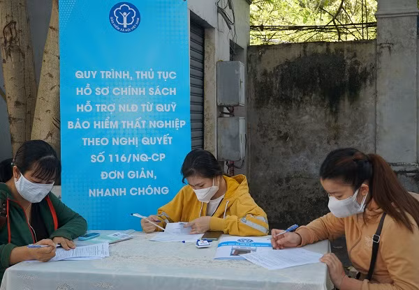 Nearly 11.78 million pandemic-hit workers benefit from unemployment insurance ảnh 1