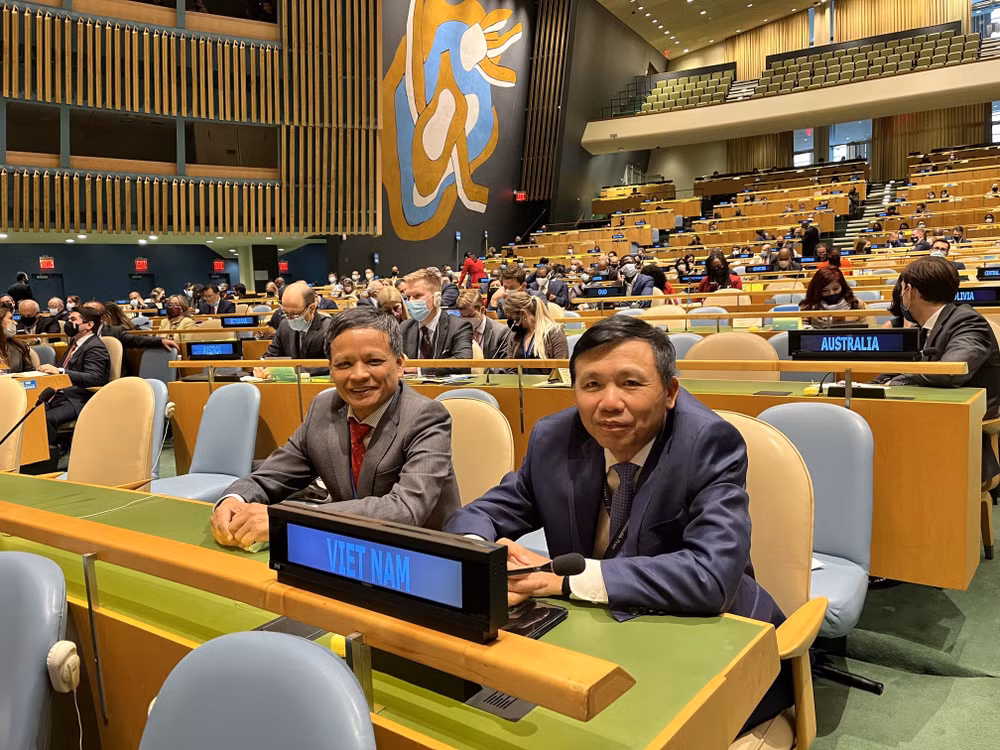 Vietnamese representative re-elected to International Law Commission ảnh 2