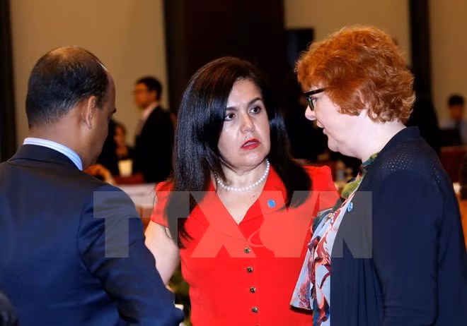 APEC progresses well with four cooperation priorities ảnh 1