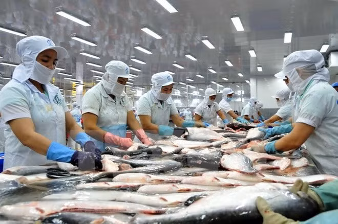 Spanish press informed about Vietnam’s tra fish products ảnh 1