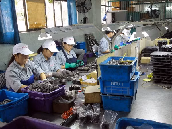 Indian businesses eye investment opportunities in Nam Dinh ảnh 1