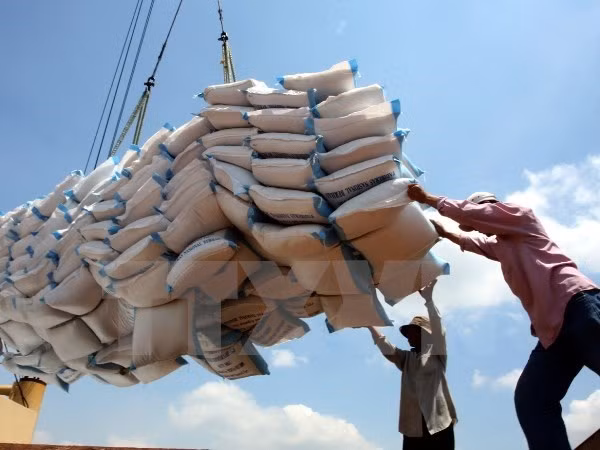 Rice exports see positive signs ảnh 1 Rice exports see positive signs ảnh 1