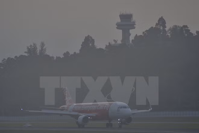 Southeast Asia seeks way out of haze ảnh 1
