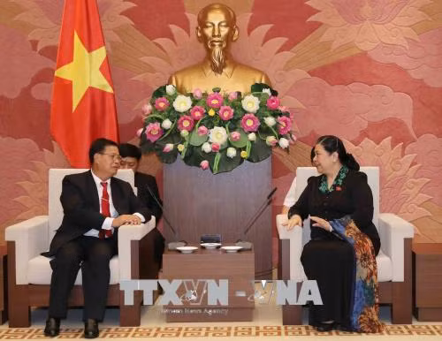 Vietnam ready to share experience in legislation with Laos ảnh 1