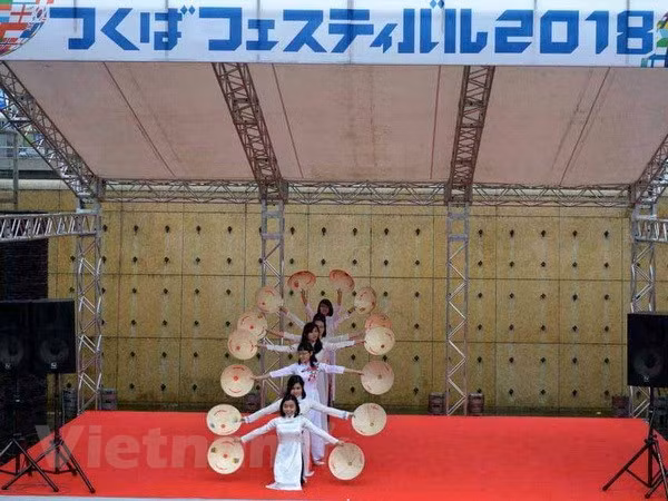 Vietnamese culture highlighted in Japan ảnh 1
