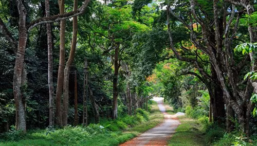 Environment protection needed in tourism development ảnh 1