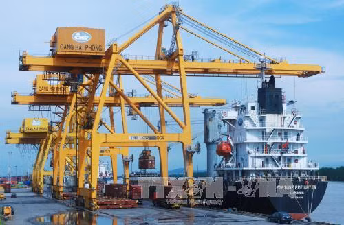 Hai Phong Int’l Container Terminal to welcome first ship ảnh 1