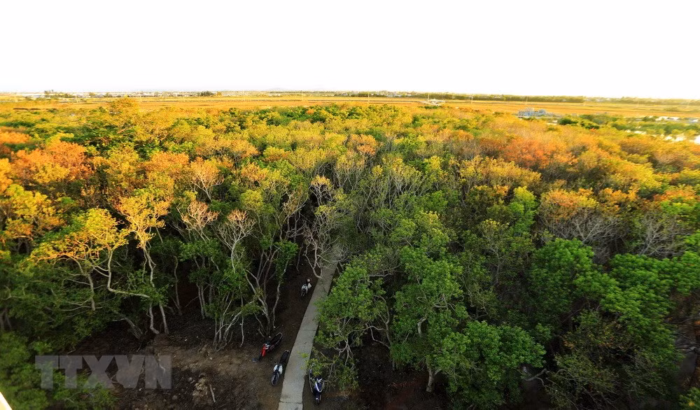 Forum spotlights partnership in biodiversity protection ảnh 1