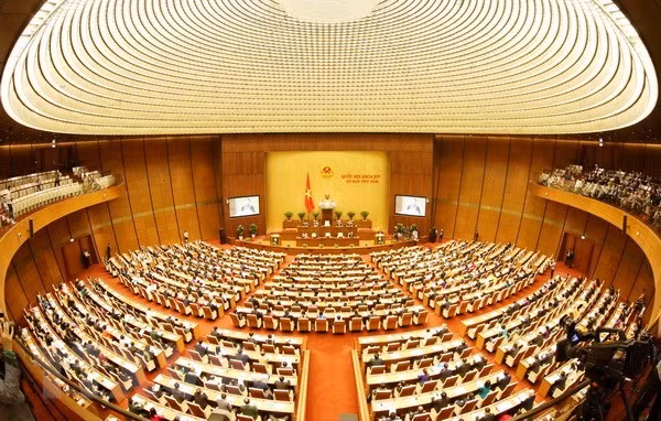 NA scrutinise reports on socio-economic performance ảnh 1