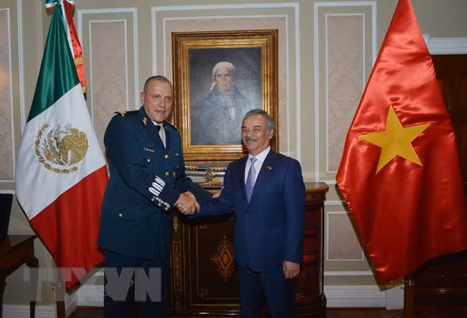 Mexican defence chief receives new Vietnamese Ambassador ảnh 1