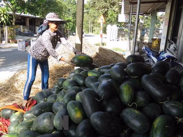 Vietnamese farm produce seeks to reach French customers ảnh 1 Vietnamese farm produce seeks to reach French customers ảnh 1