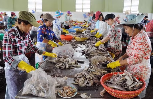 Tra Vinh moves to support SMEs’ development ảnh 1