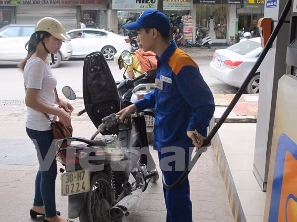 Petrol prices increase ảnh 1