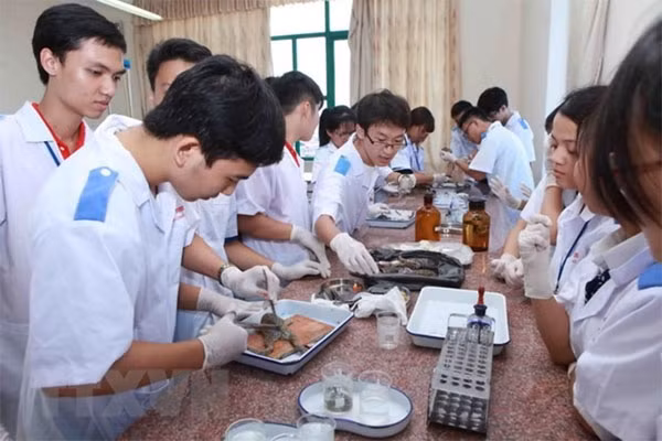 74 percent of high school candidates apply to universities ảnh 1