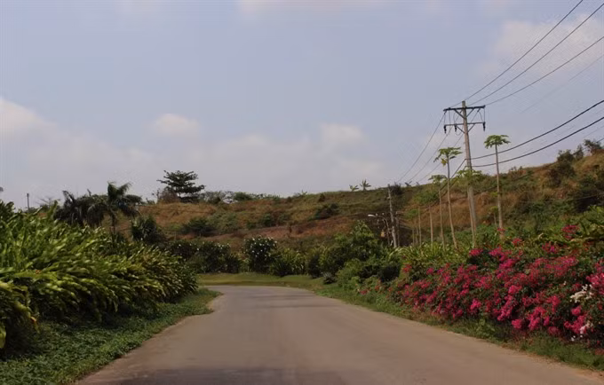 HCM City landfill grows into orchard ảnh 1