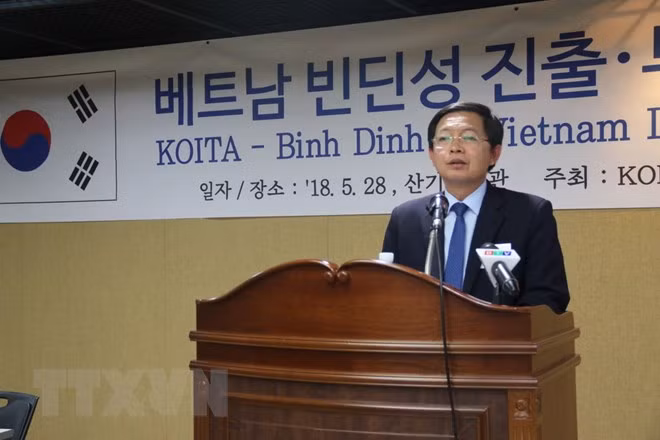 Binh Dinh province calls for RoK investment ảnh 1
