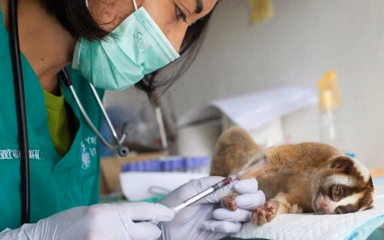 Indonesia uses hi-tech to fight animal trafficking ảnh 1
