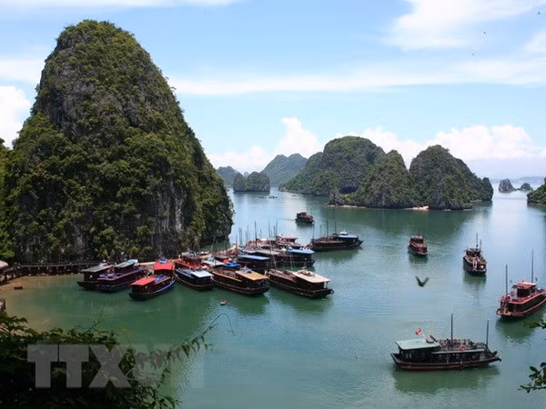 Quang Ninh promotes sea, island activities ảnh 1 Quang Ninh promotes sea, island activities ảnh 1