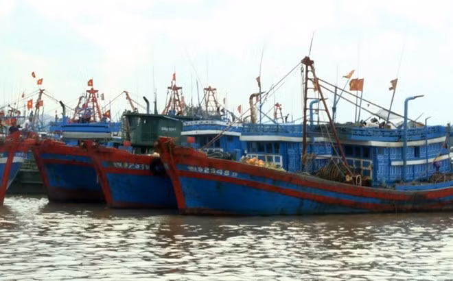 Vietnam, China negotiate cooperation in less sensitive marine areas ảnh 1