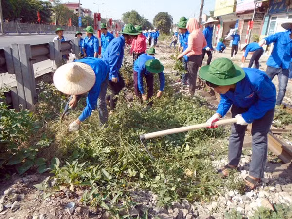 Action month on environment to be launched ảnh 1