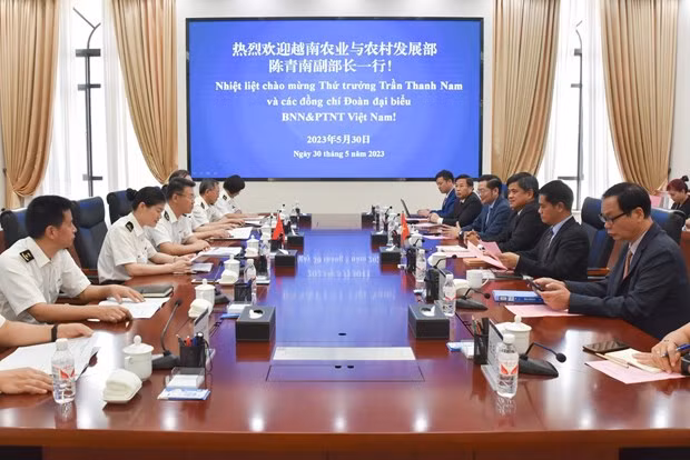 Digital border gate proposed to mitigate trading congestion ảnh 3