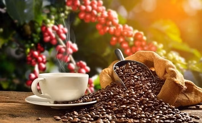 Vietnam Specialty Coffee Competition 2022 kicks off ảnh 1