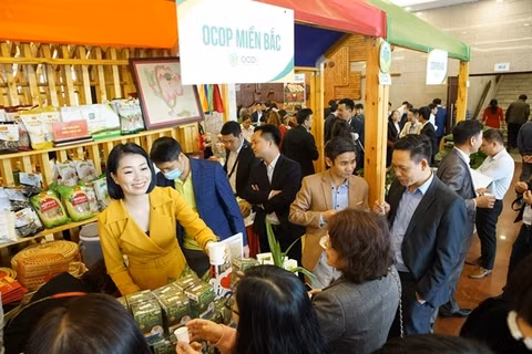 Hanoi accelerates promotion of agricultural goods ảnh 1