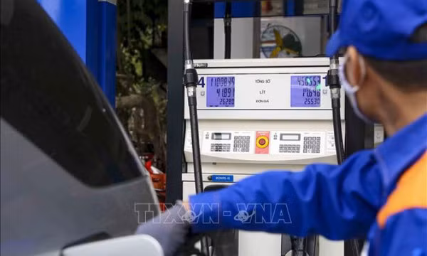Under-4-percent inflation rate tough to complete: Experts ảnh 2
