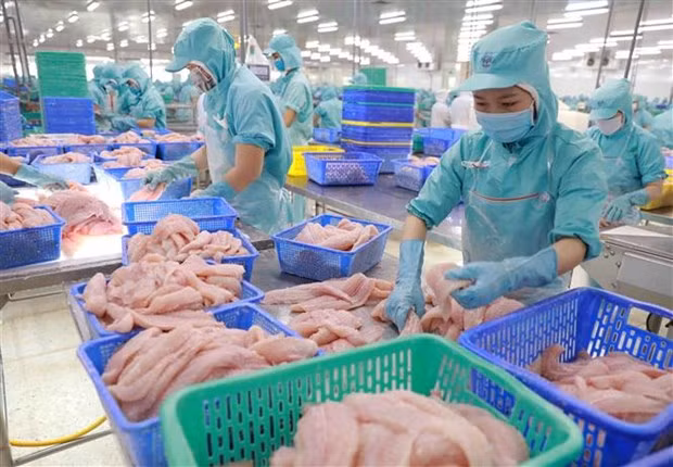 New Chinese registration regulations challenge Vietnamese exporters ảnh 1