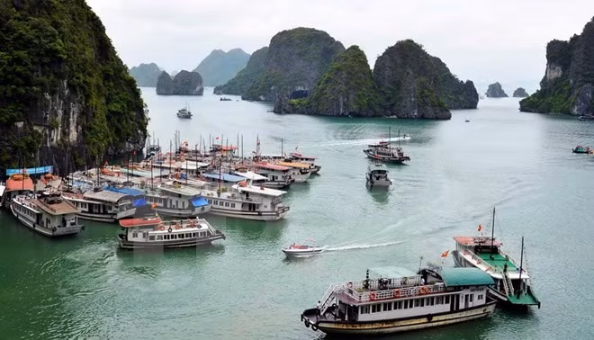 Quang Ninh bans construction of new tourist boats ảnh 1