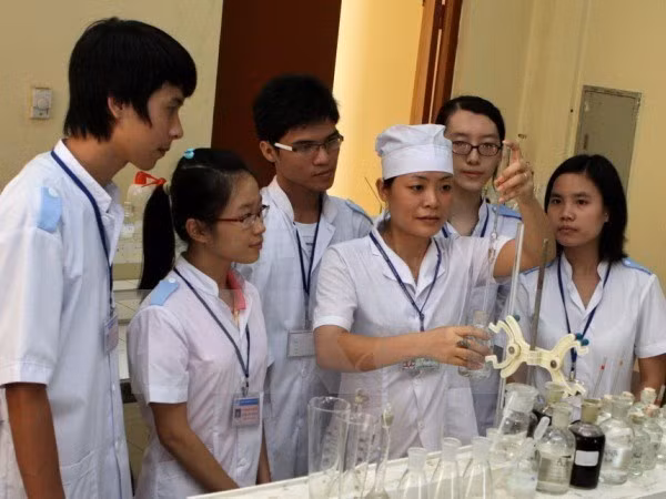 Italian region provides training, internship for Vietnamese students ảnh 1