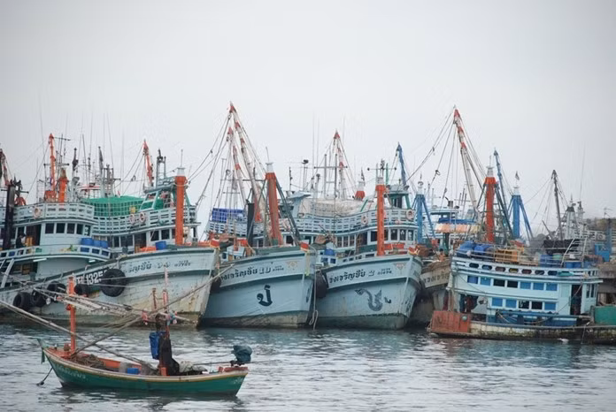 Thailand, EU hold meeting on IUU fishing ảnh 1
