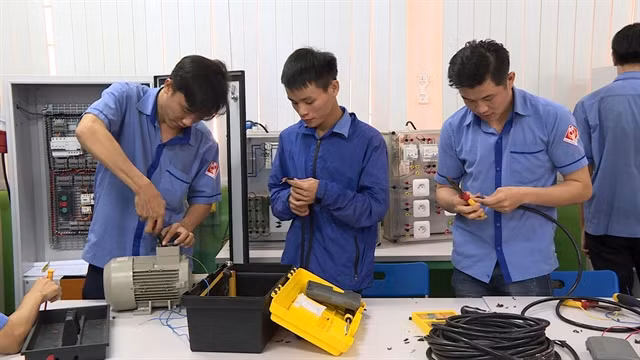 Vocational training needs to attract participation of enterprises ảnh 1