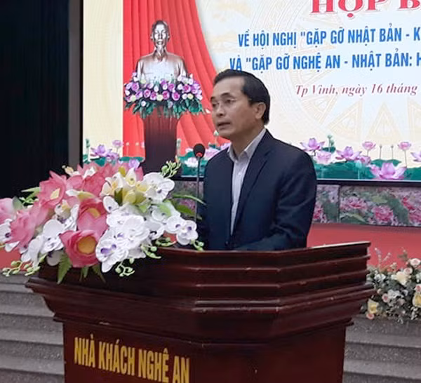 Nghe An works to enhance ties with Japanese partners ảnh 1