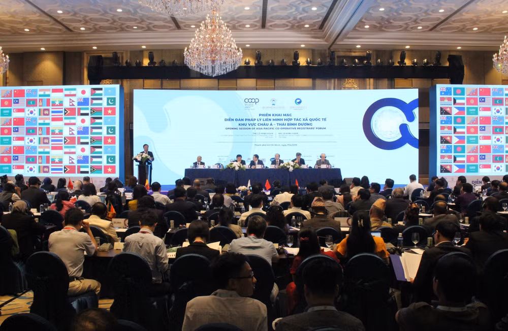 Int’l cooperation key to sustainable development of cooperative sector ảnh 1