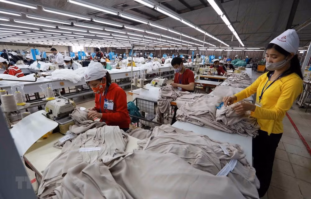 Regulations being revised to implement CPTPP ảnh 1