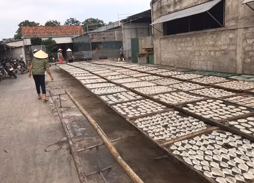 Nghe An: Alarm raised over pollution at craft villages ảnh 1