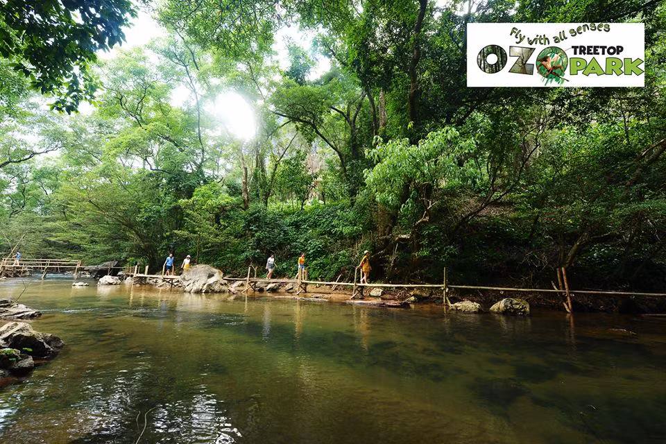 Ozo Treetop Park – new tourism product of Quang Binh ảnh 1