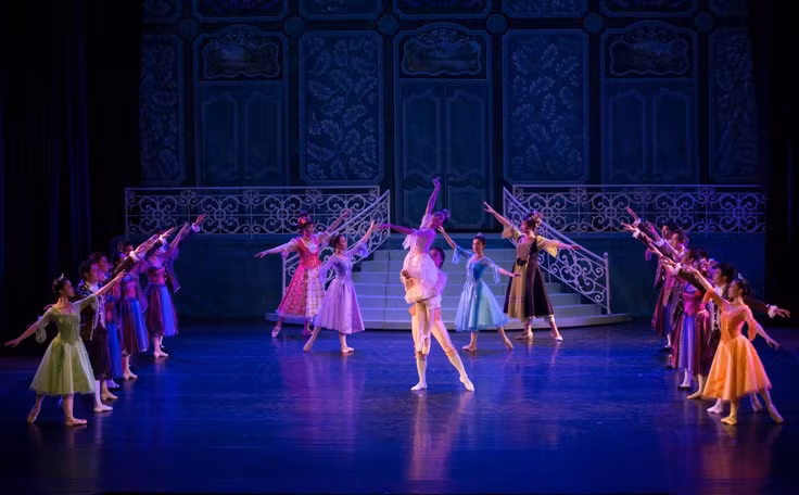Vietnamese, Japanese artists perform “Cinderella” ballet ảnh 1