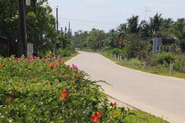 Dong Nai province’s rural district gets well-deserved makeover ảnh 1