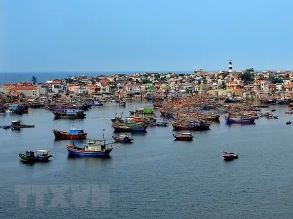 Enforcement of Vietnam-China fishery cooperation agreement reviewed ảnh 1