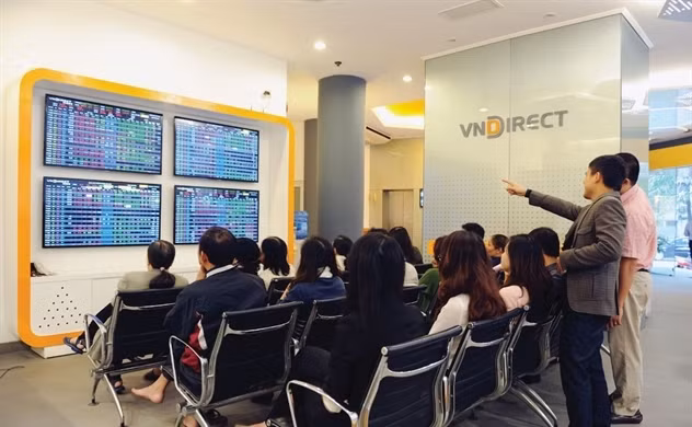 VNDirect sees post-tax profit up 31 pct in 2019 ảnh 1
