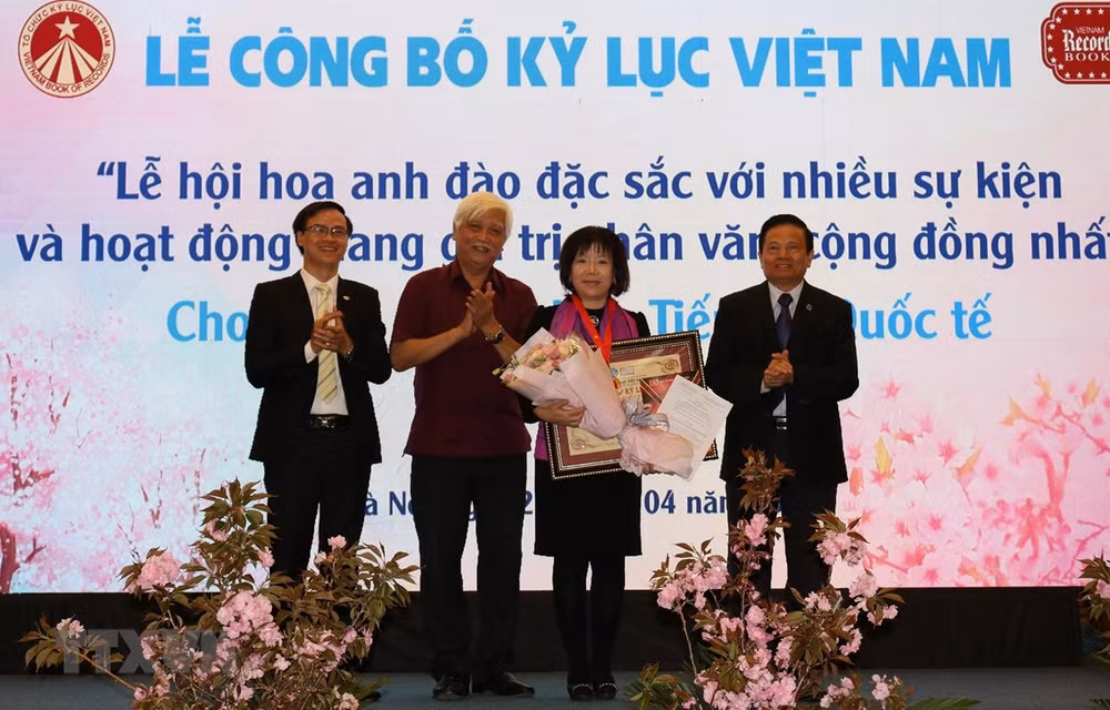 Cherry blossom festival makes Vietnam record ảnh 1